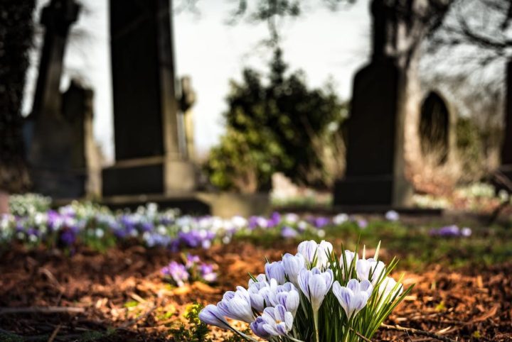 Cimetière : qu'implique la norme zéro phyto ?
